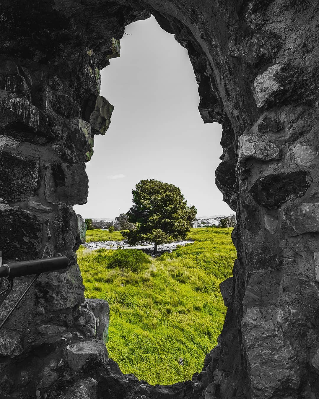 A forest beyond the doorway of a cave