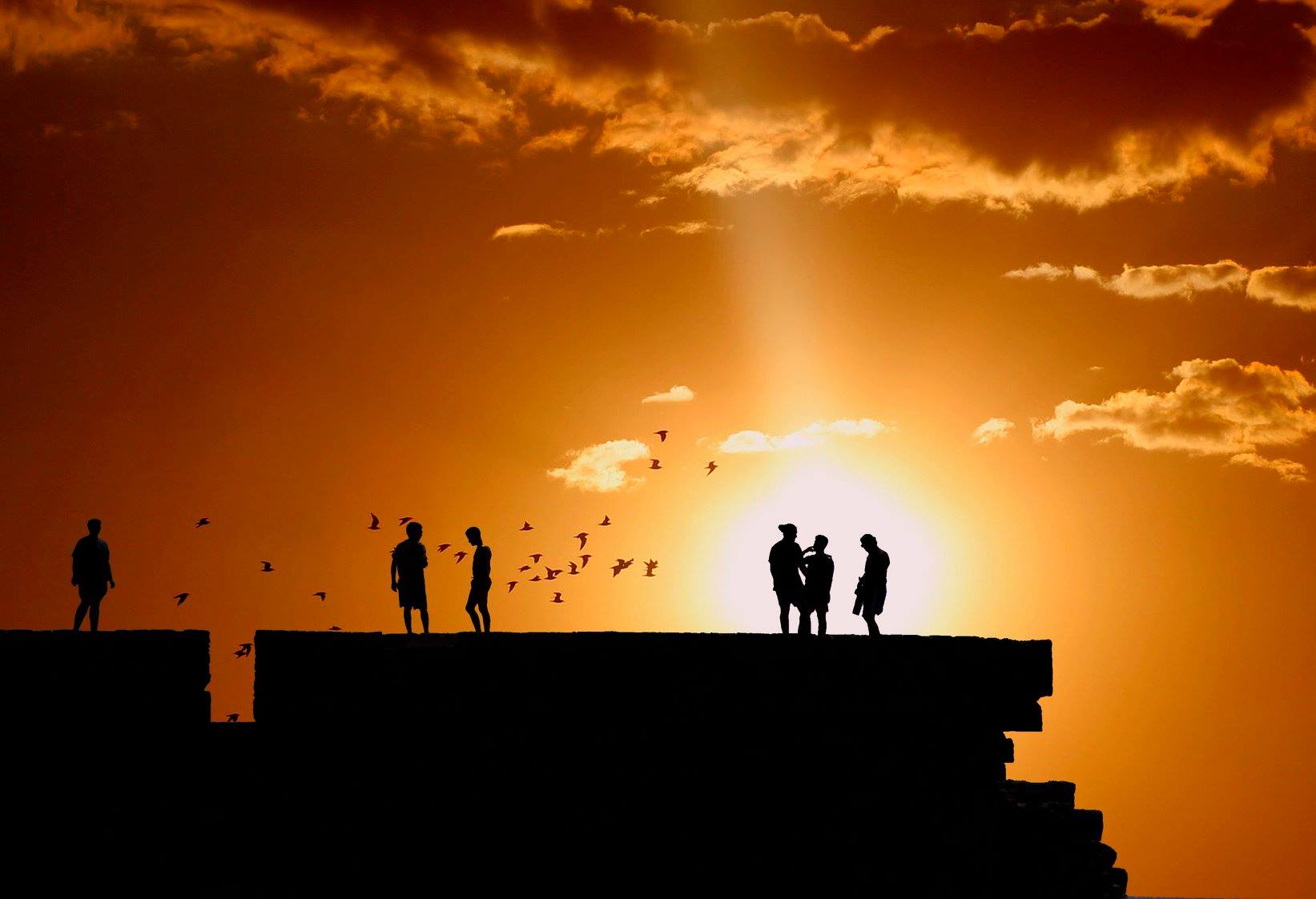 People stand at sunset and birds fly in the sky